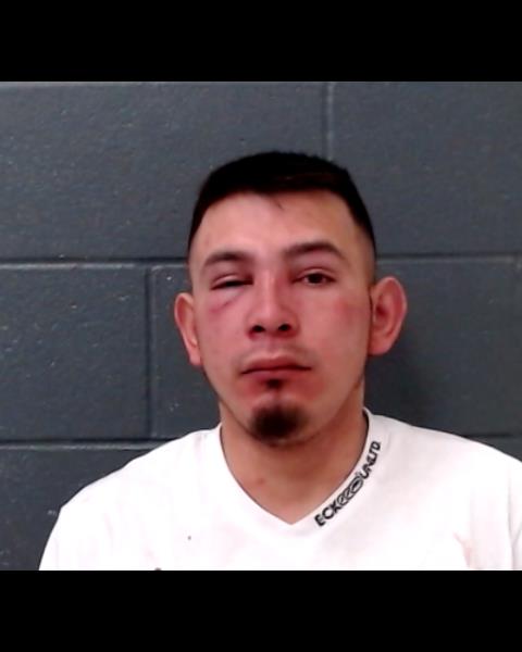 HERNANDEZ-PENA, ALFREDO MANOLO booking photo