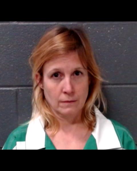 SIMMONS, JAMIE LISA booking photo