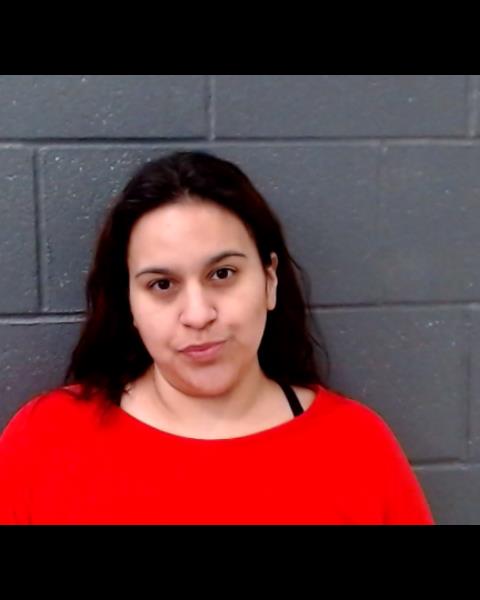 NIETO, ELENA GONZALES booking photo