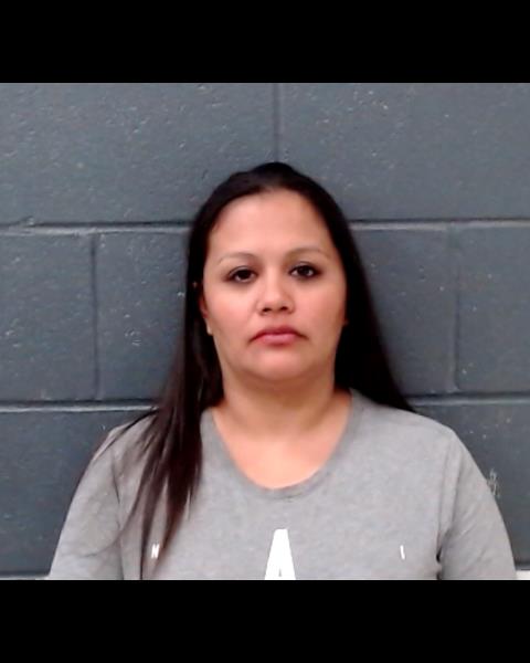 RAMIREZ, KRYSTAL booking photo