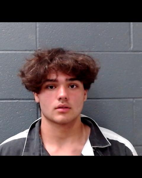 HAMILTON, DIEGO MARCOS booking photo
