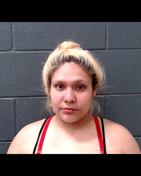SANCHEZ, MARY LOUISE booking photo