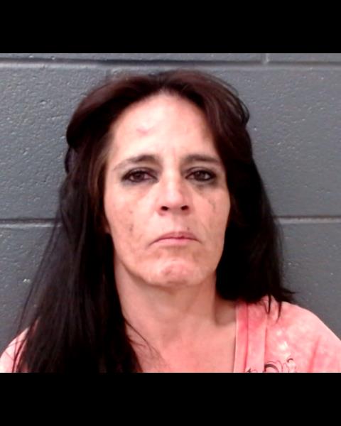 DIXON, MICHELE SUSAN booking photo