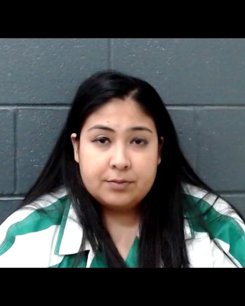 RANGEL, BRIANA VICTORIA booking photo