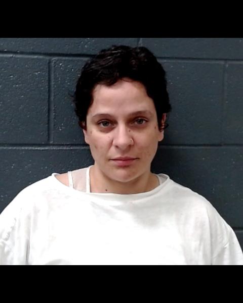 LEBLANC, BRANDI RENEE booking photo