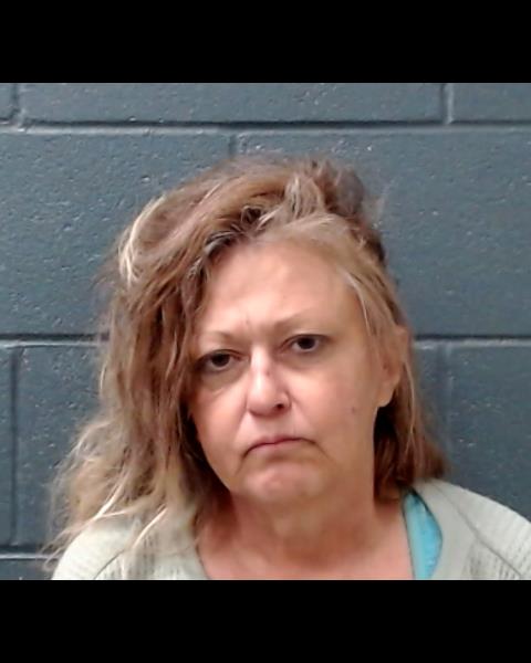 CAUDILL, SALLY STEWART booking photo