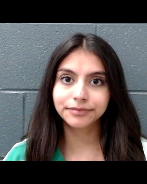 LOPEZ, MERCEDES ROSELLE booking photo