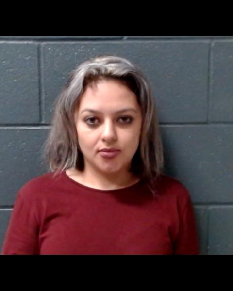 VARGAS-ARREDONDO, ROSALINDA booking photo