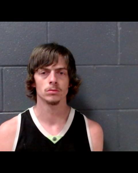 HANASHEY, RONALD EMIL, II booking photo