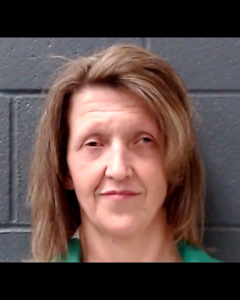 SHELTON, MELINDA DEANN booking photo