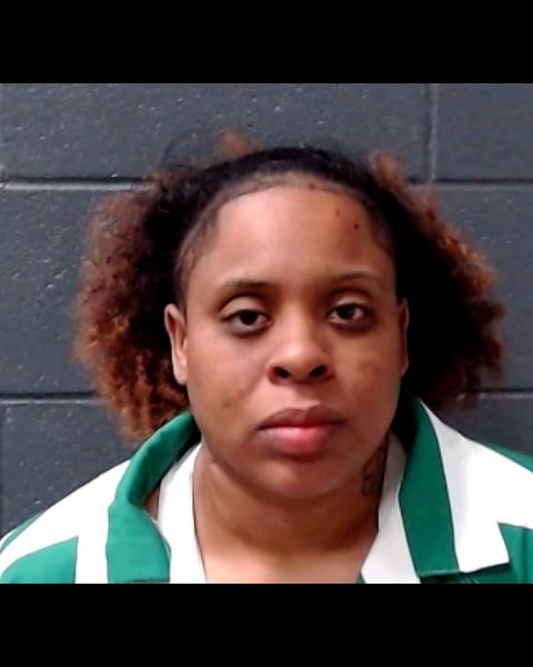 MENDIOLA, CHRISKA LYNNE booking photo