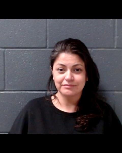 RODRIGUEZ, TANYA LOWERY booking photo