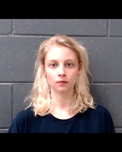 HILLE, ALYSSA MERCEDES booking photo
