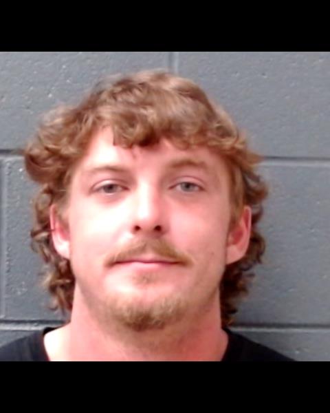 GREEN, MICHAEL ALLEN booking photo