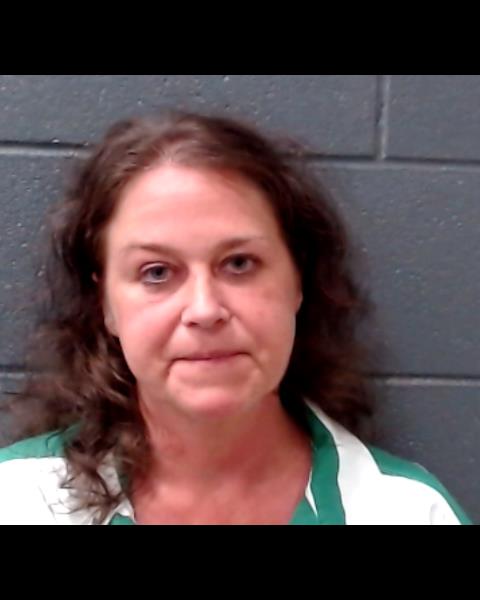 LUTHER, MEGHAN ILENE booking photo