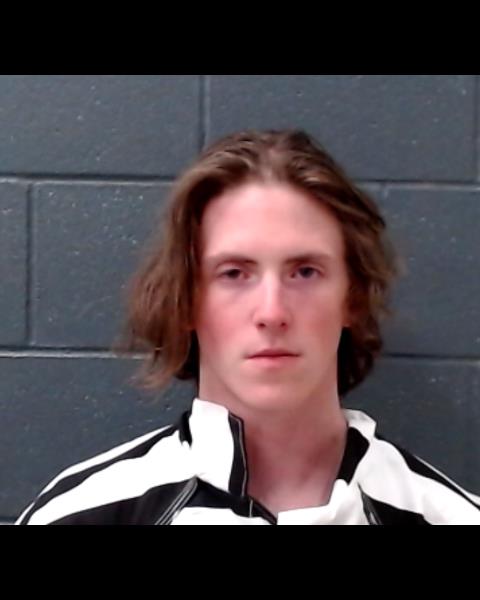 HARTT, IAN AARON booking photo