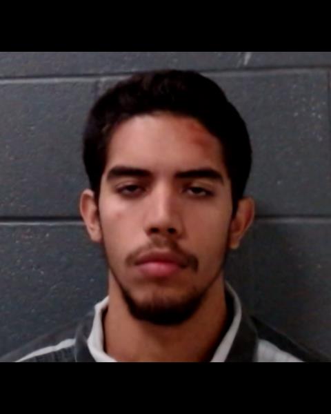GARCIA, ROMAN booking photo