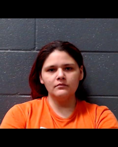 MITCHELL, FRANCISCA ELFIDA booking photo