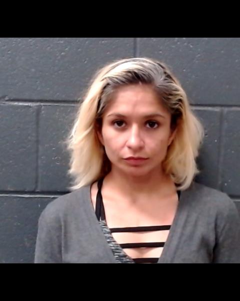 MARTINEZ, ROSEIDA MENICA booking photo