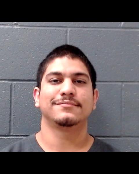 FLORES, DEMETRIAS RENE booking photo