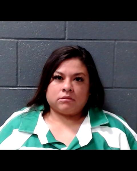 GONZALEZ-ARANDA, JAIZETH MARLENNE booking photo