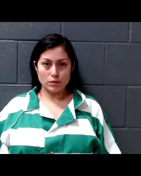 ROCHA, GEORGIANNE booking photo