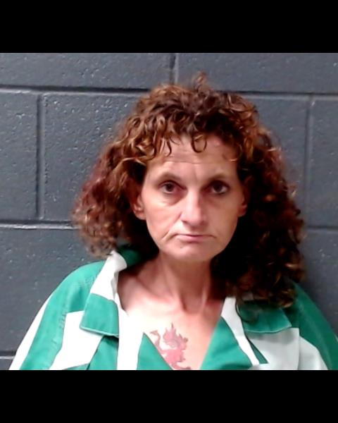 WILLIAMS, MISTIE ANNE booking photo