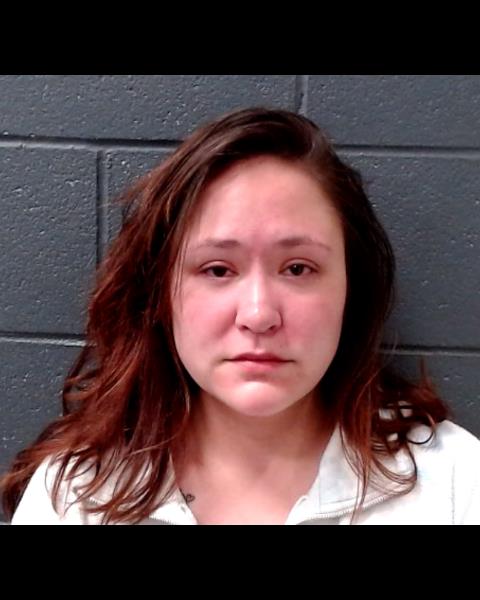 ELLINGSON, BIANCA booking photo