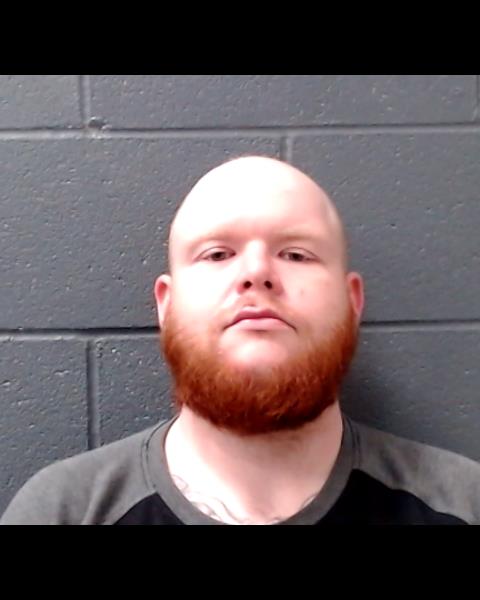 DAVIS, SHAYNE TAYLOR booking photo