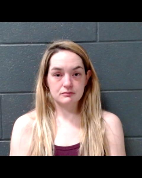 BAUM, JILL SUZANNE booking photo