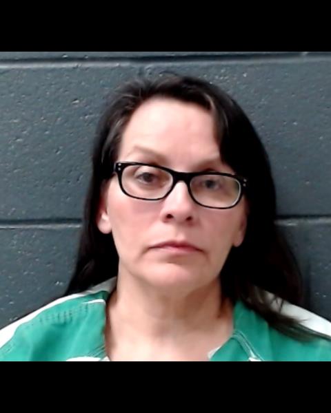 FLORES, ANA LAURA booking photo