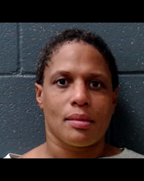 SCHMITT, NICOLE EMILY booking photo