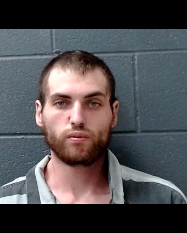 ADAMSON, BRADLEY RYAN booking photo