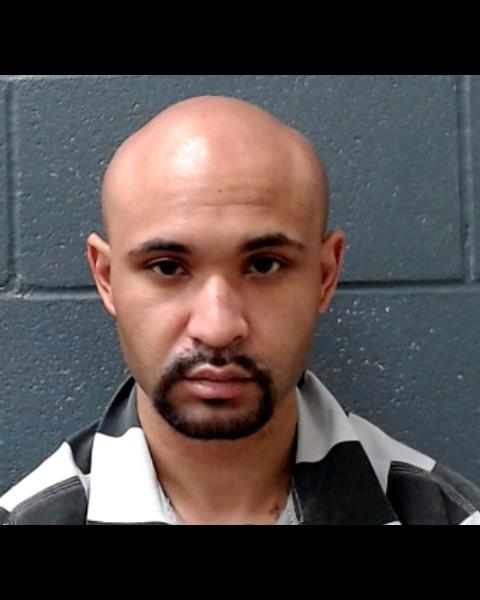 GREEN, DON MYCHEL booking photo