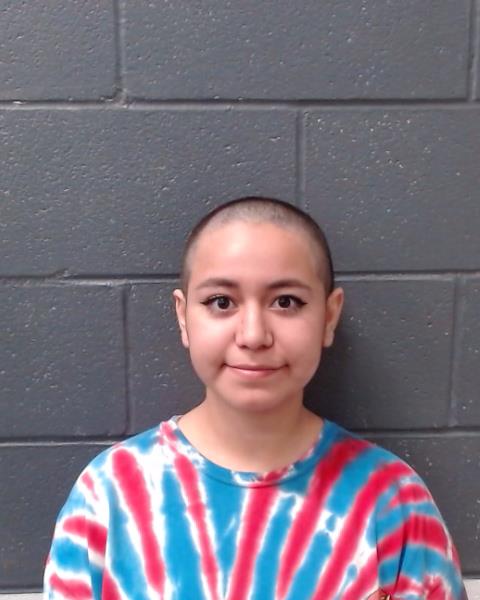 Ramirez, Nina Elizabeth booking photo