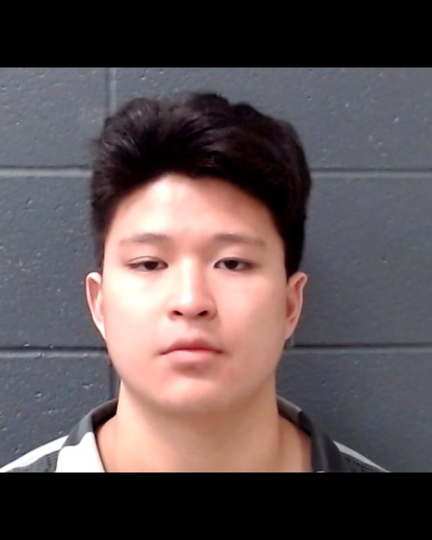 LI, KELSON booking photo