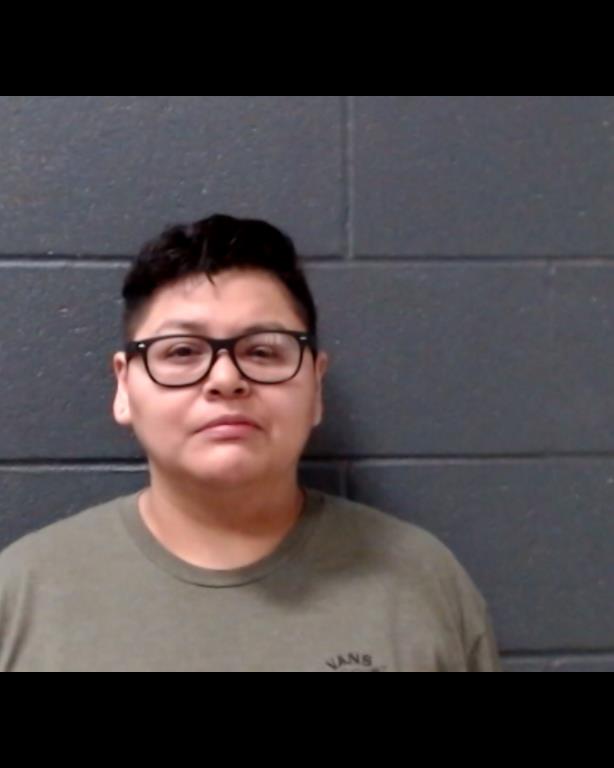 LOPEZ, LAURA ELIZABETH booking photo