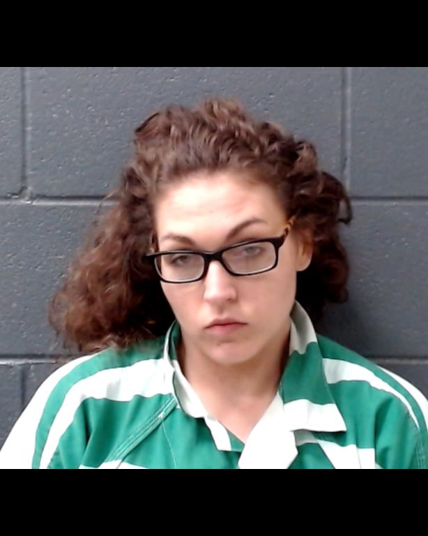 PREECE, CYNTHIA MARIE booking photo