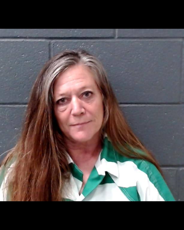 ZIMMERMAN, LISA EVALYN booking photo