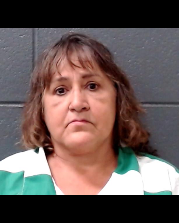 VILLEGAS, GLORIA MARTINEZ booking photo