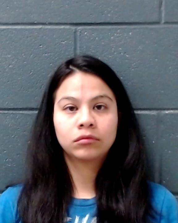 DYER, STEPHANIE LEE booking photo