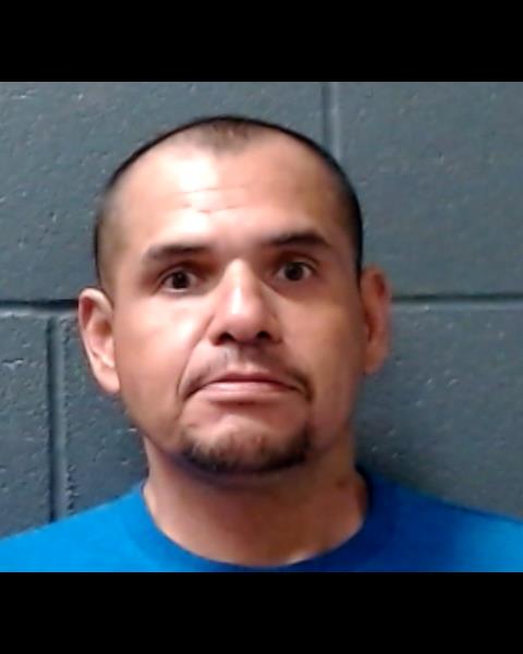 MOLINA, DIAGO VIDAL booking photo