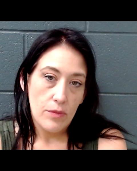 FULLER, ANNA NICOLE booking photo