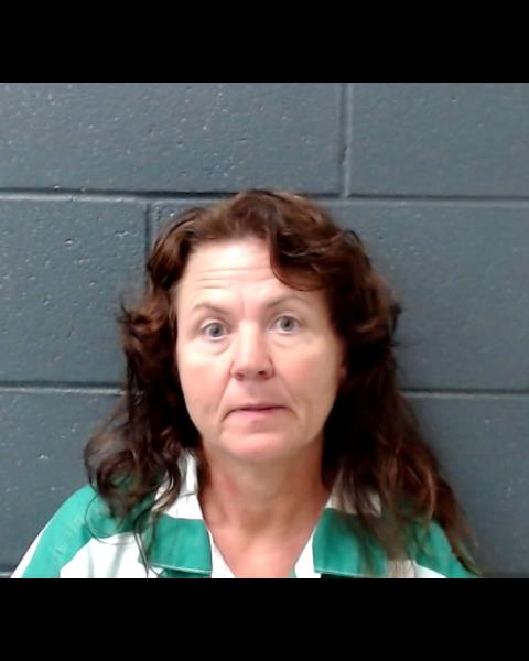 ALLISON, MELISSA JEAN booking photo