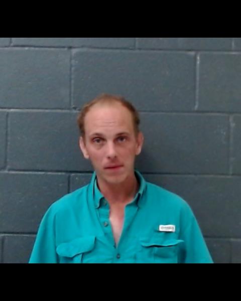 MCFARLAND, AUSTIN BRETT booking photo