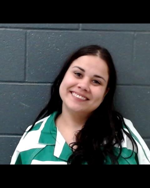 COLON-CASTRO, CORAL DEL MAR booking photo