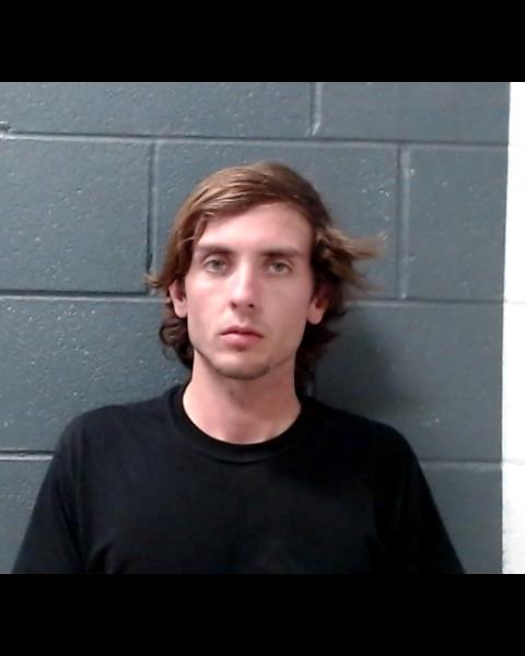 WALKER, AARON BLAYNE booking photo