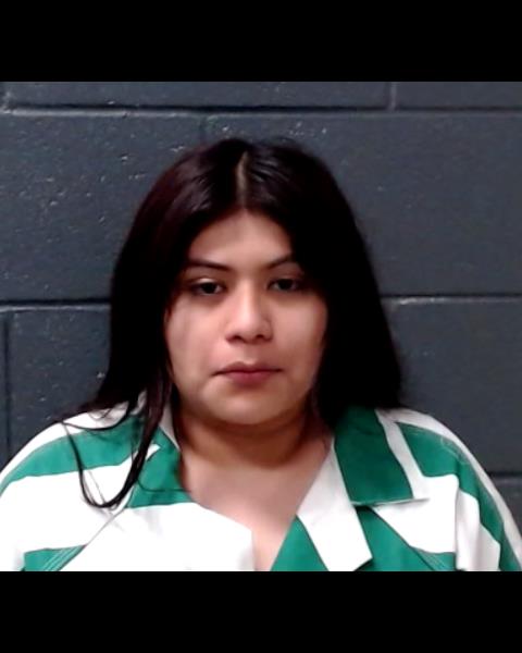 TELLEZ, DULCE booking photo