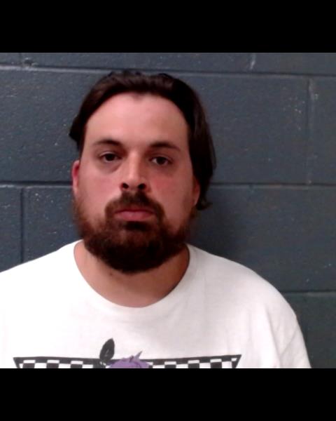 SOUTH, MICHAEL ALLEN booking photo