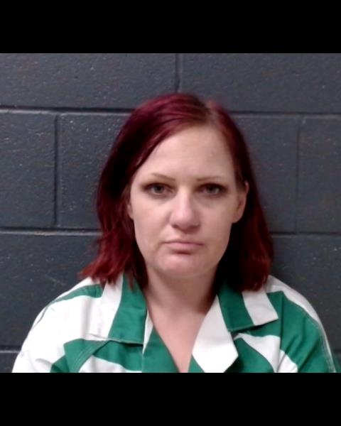 EDGAR, CRYSTAL PAIGE booking photo